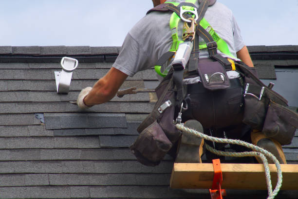 Best Shingle Roofing Installation  in Chauvin, LA
