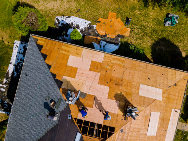Best Roof Restoration Services  in Chauvin, LA