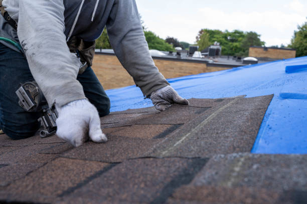 Best Slate Roofing Contractor  in Chauvin, LA