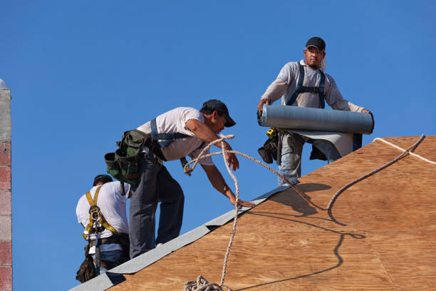 Gutter Installation and Roofing in Chauvin, LA
