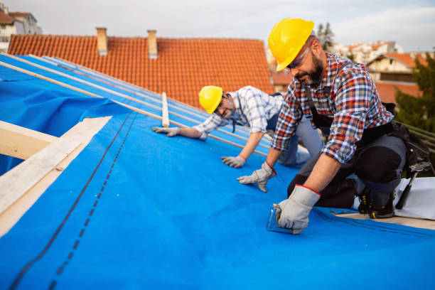 Best Local Roofing Companies  in Chauvin, LA
