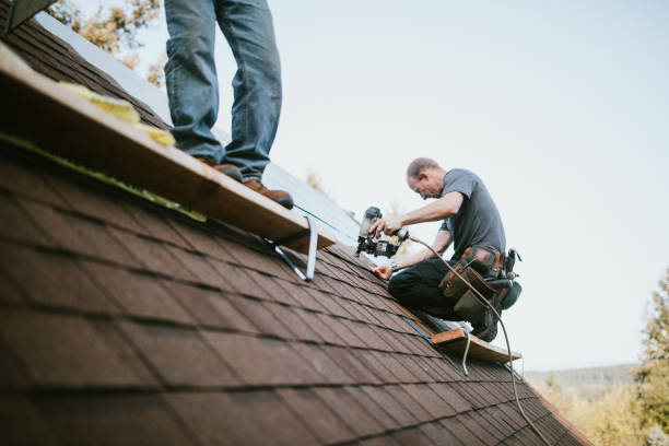 Best Roof Waterproofing Services  in Chauvin, LA