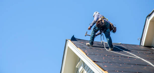 Best Roof Inspection Near Me  in Chauvin, LA